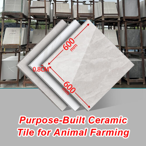 Smart Glasses for Outdoor Travel Bluetooth Sunglasses w/Audio Calls Lisening To Music Voice Navigation Interchangeable Lenses